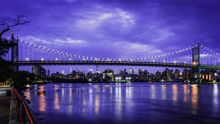 Triboro Bridge NYC Skyline 4K