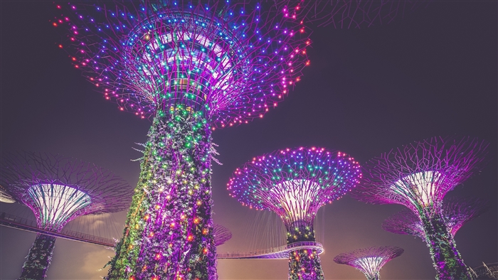 Gardens by the Bay Singapore illuminated at night