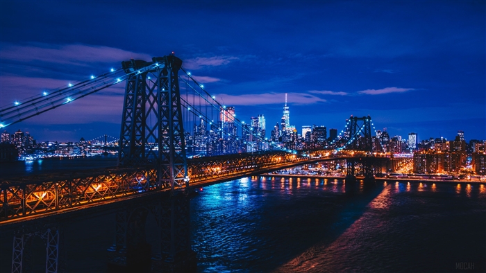 Williamsburg Bridge New York City at Night 4K