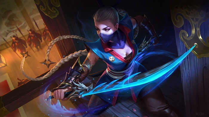 Assassin from Arena of Valor 4K