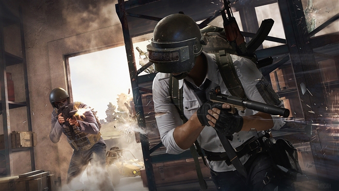 PUBG Helmet Guy 4K