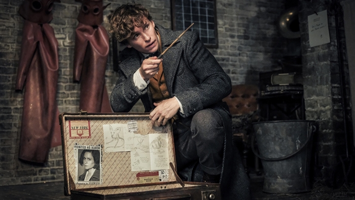 Eddie Redmayne as Newt Scamander in Fantastic Beasts 4K