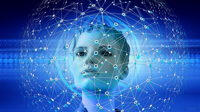 Face in a digital network 4K