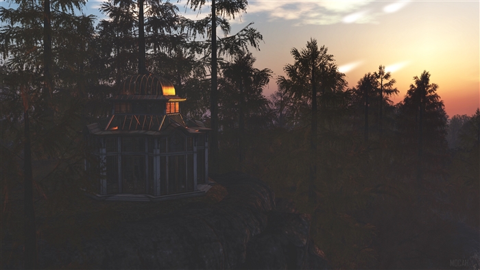 Arbor in a forest at sunset 4K