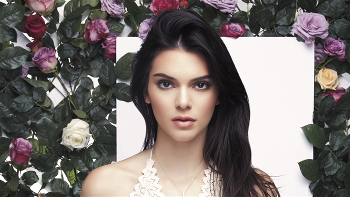 Kendall Jenner 4K