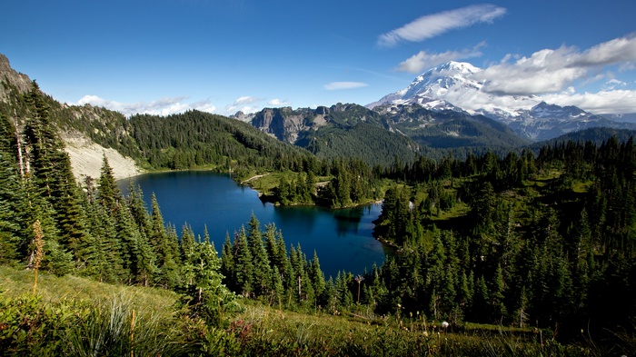 Lake and Mountain Landscape with Evergreen Trees