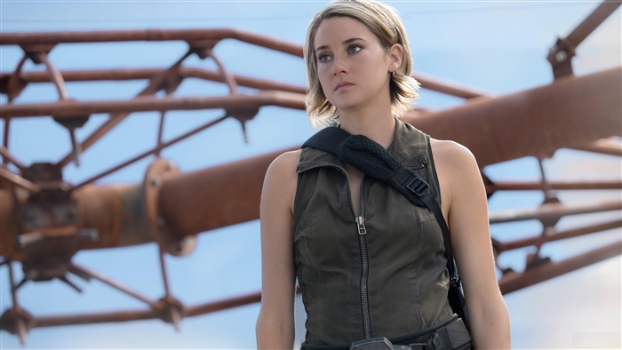 Shailene Woodley, Divergent Series, Allegiant, 5K, HD Wallpaper | Rare ...