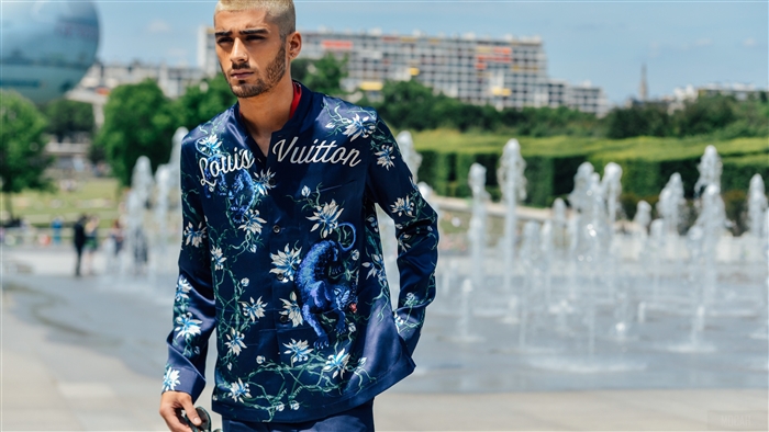 Zayn Malik in Louis Vuitton 2019 4K