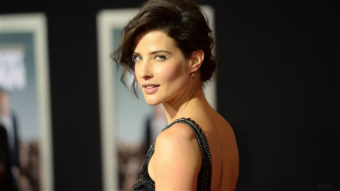Cobie Smulders Elegant Pose 2019 4K
