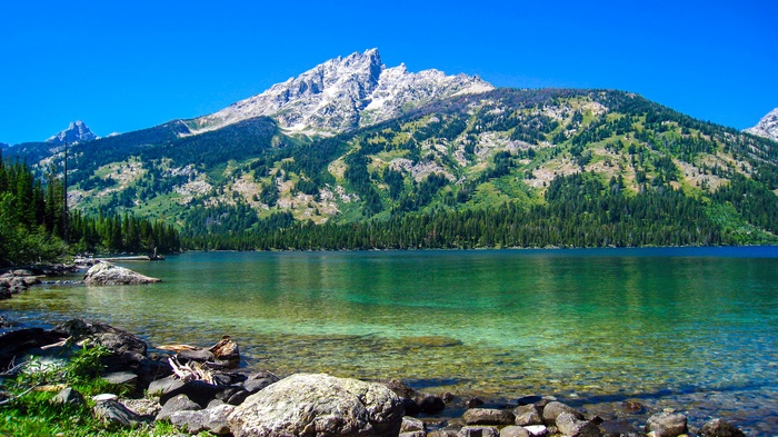 Clear lake in front of a forested mountain under a blue sky