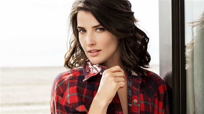 Cobie Smulders 4K