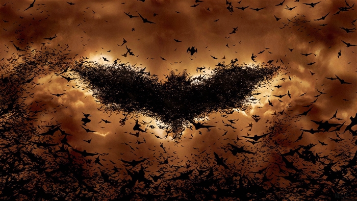 Batman Begins Bat Symbol