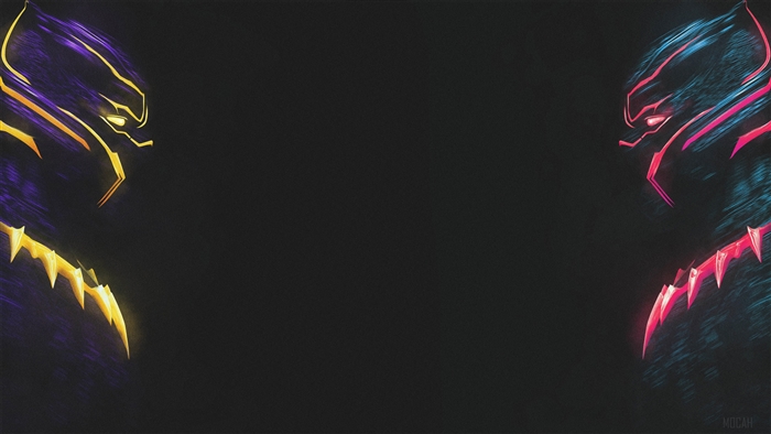 Erik Killmonger and Black Panther Art 4K