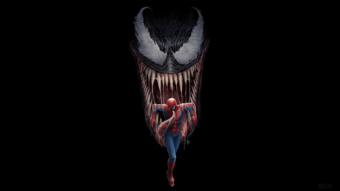 Spiderman And Venom Artwork