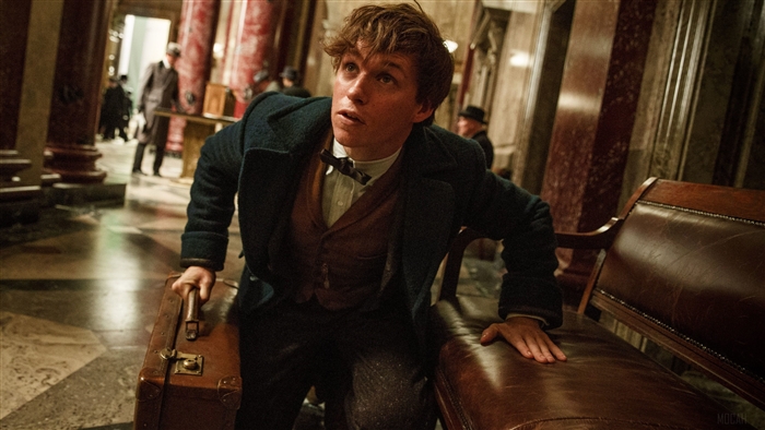 Eddie Redmayne In Fantastic Beasts