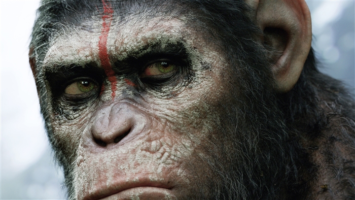 Caesar from Dawn of the Planet of the Apes 4K