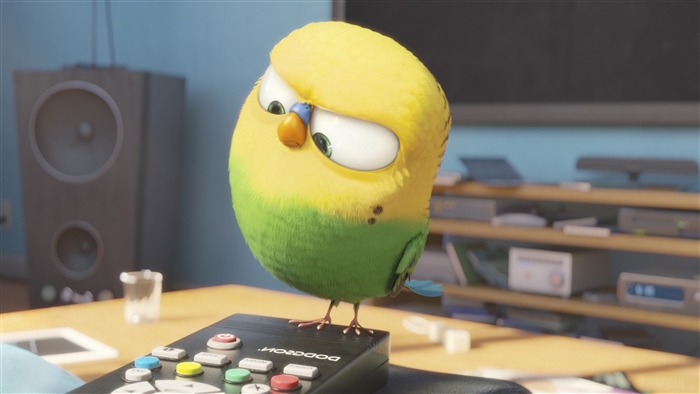 Budgie from The Secret Life of Pets 4K
