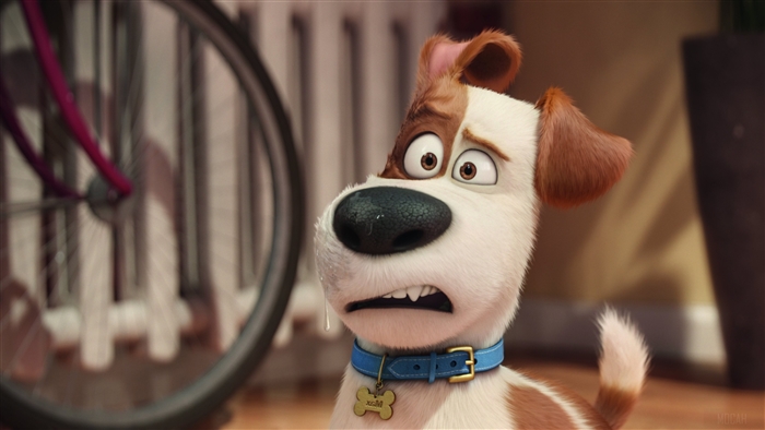 Max from The Secret Life of Pets 4K
