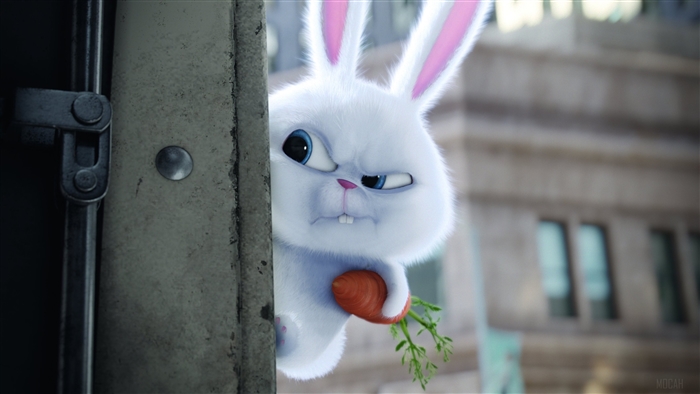 Snowball the Bunny from The Secret Life of Pets 4K