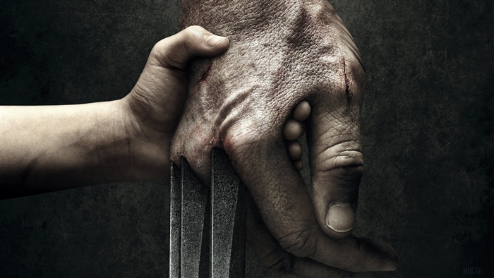 Logan from X-Men 4K
