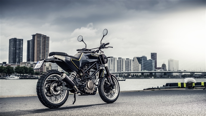 Husqvarna Svartpilen 401 2017 Motorcycle Rear View 4K
