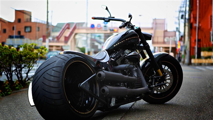 Harley Davidson Motorcycle 4K