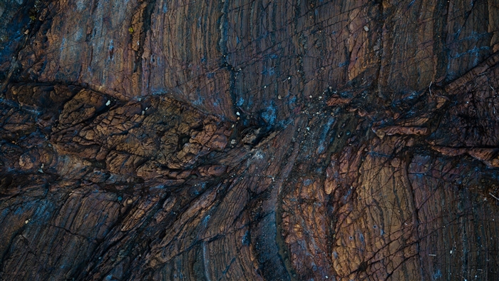 Close-up of a wet, textured rock surface