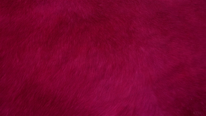 Crimson Fur Texture 4K