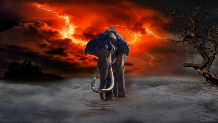 Elephant in a stormy landscape with lightning 4K