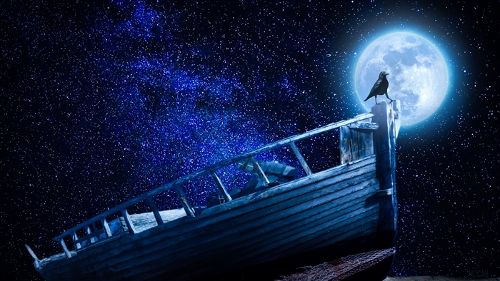 Crow on a boat under a starry sky and moon 4K