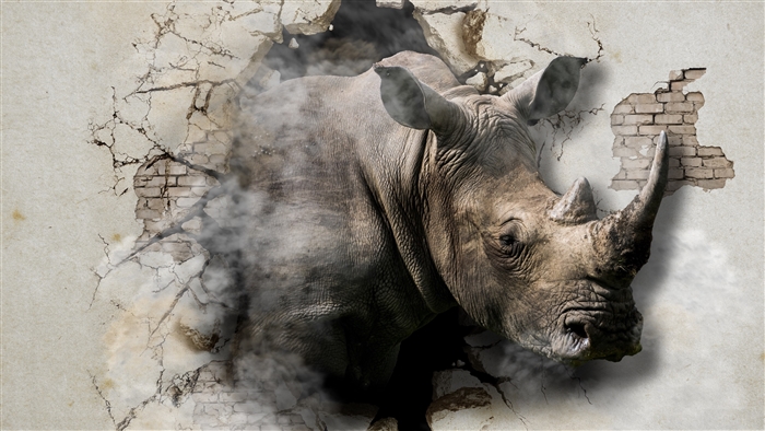 Rhinoceros breaking through a cracked wall