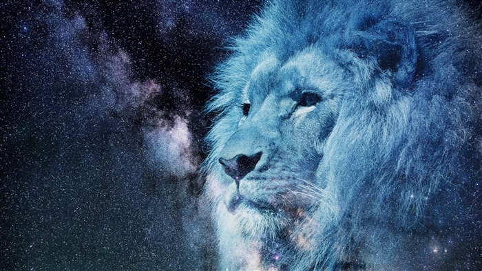 Lion's head against a starry sky