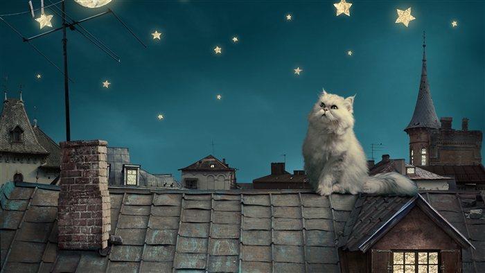 White Persian cat on rooftops under starry night sky