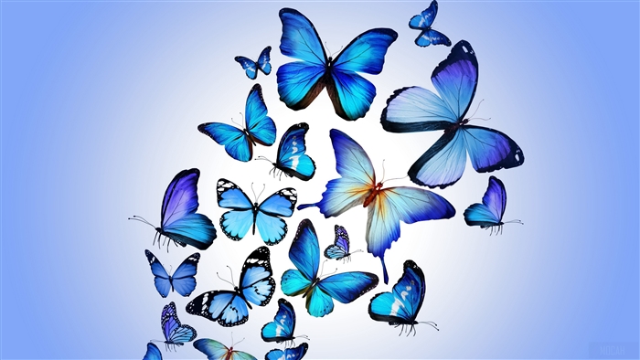 Vibrant Blue Butterflies in Flight 4K Art