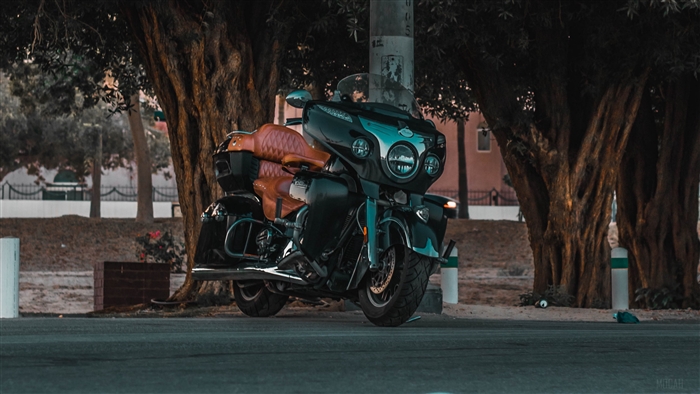 Motorcycle parked near trees on a street