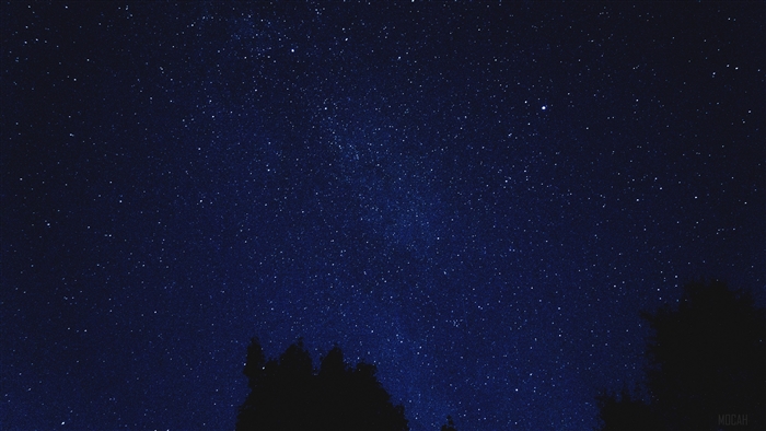 Starry night sky with trees