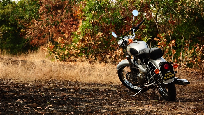 Silver Royal Enfield motorcycle in autumn forest