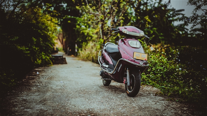 Maroon scooter parked on a dirt path