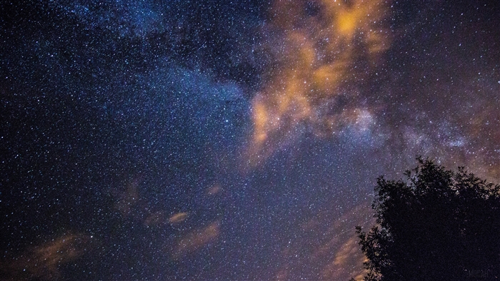 Starry night sky with clouds and tree