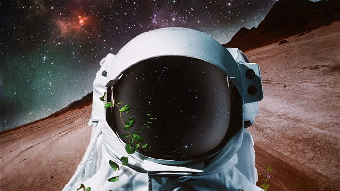 Astronaut in space with plants and stars