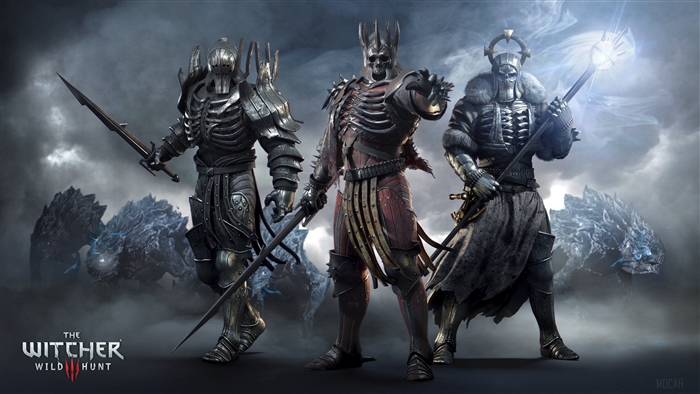 The Witcher 3 Wild Hunt characters 4K