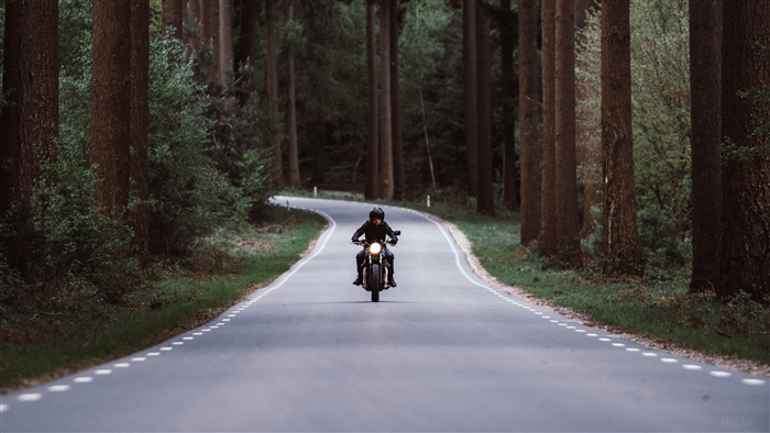 Motorcyclist on a winding road through a forest 4K