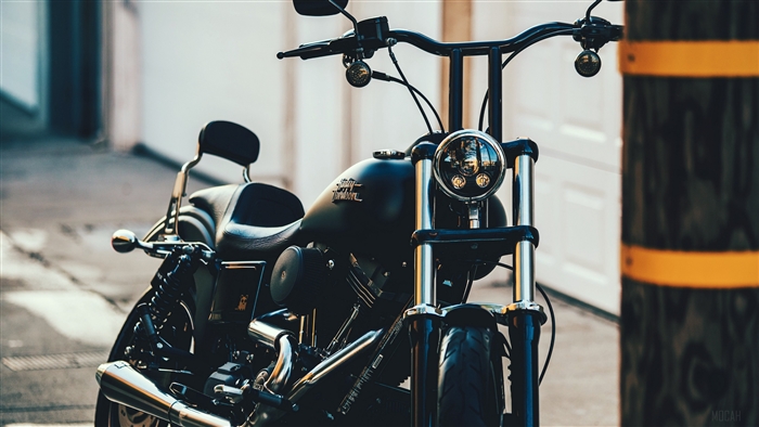 Harley Davidson motorcycle parked outdoors