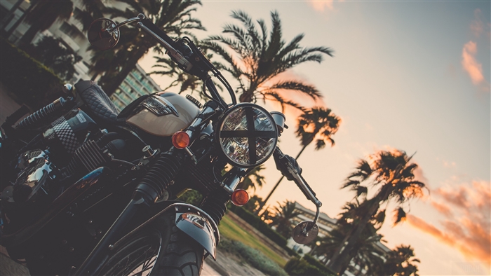 Motorcycle with palm trees at sunset 4K