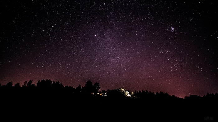 Starry night sky over a silhouetted forest