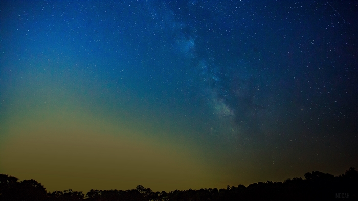 Starry night sky with the Milky Way over a silhouetted forest