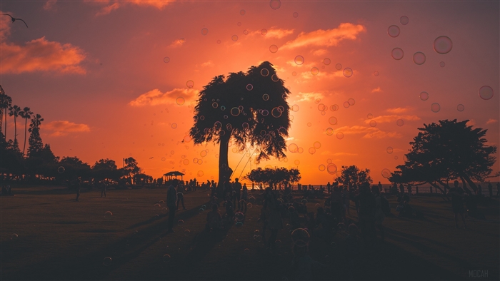 Sunset with soap bubbles and people