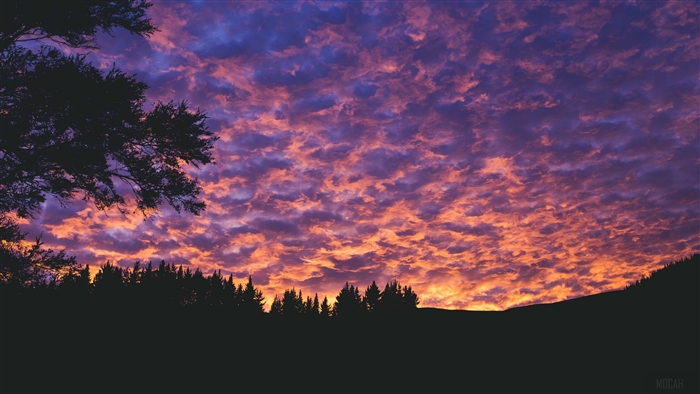Sunset clouds over silhouetted trees and hills 4K