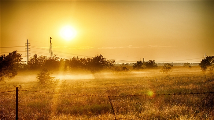 Sunrise over a misty field with a windmill