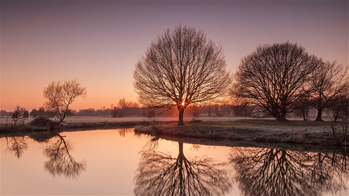 Sunrise over a river with trees and reflections 4K